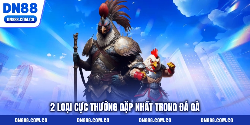 2 loại cực thường gặp nhất trong đá gà