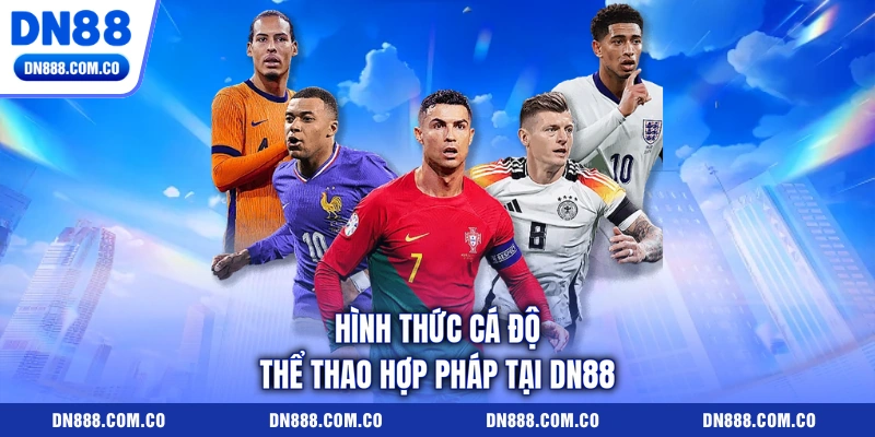 Hình thức cá độ thể thao hợp pháp tại DN88