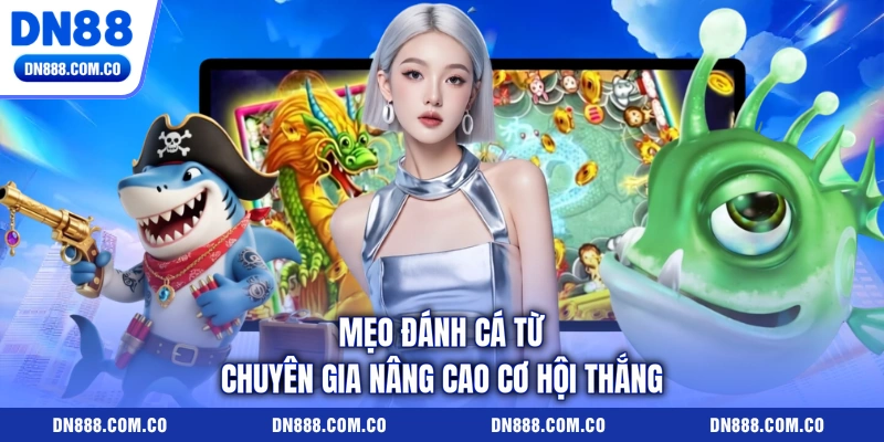 Mẹo đánh cá từ chuyên gia nâng cao cơ hội thắng