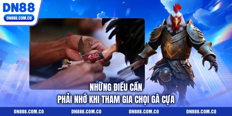 Những điều cần phải nhớ khi tham gia chọi gà cựa