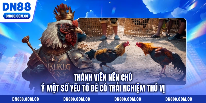Thành viên nên chú ý một số yếu tố để có trải nghiệm thú vị